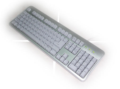 8841 Standard Keyboard, 8881 Ergonomic Keyboard